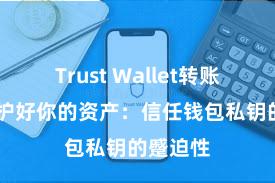 Trust Wallet转账失败 保护好你的资产：信任钱包私钥的蹙迫性